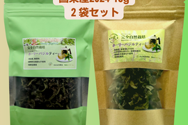 2025年別府産 ホーリーバジルティー20g 1パック　
2024年後期国東産 ホーリーバジルティー15g 1パック
合計2パックセット