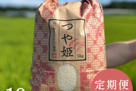 【令和6年新米】農家の先生が作る「山形県産つや姫」（10kg無洗米）