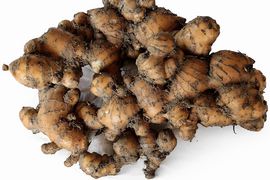 【鮮度抜群】香辛温活！自然栽培　土佐一囲い生姜1kg土付き　香りの良い最高の生姜をお届けします。