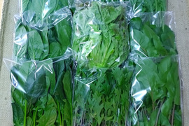 【農家の食卓からお裾分け】食卓に彩りを✨冬の映え！サラダ野菜４種🥗＋万能葉物２種詰合せ📦