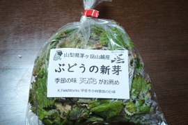 【旬の味】葡萄の芽 天ぷらにどうぞ(送料＋税込 1670円 )