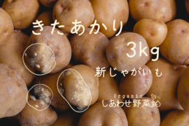 静岡県産 有機新じゃがいも3kg きたあかり