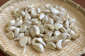 【明日まで割】新鮮、生にんにく　9kg 愛知県産 生にんにく 1kg（SS～Lサイズ）