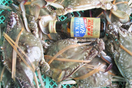 冷凍ガザミ オス中サイズ ２kg（約9杯）日本三景松島産★ワタリガニ ガサミ がさみ 渡り蟹 わたりがに 冷凍蟹 冷凍カニ 冷凍カニ ケジャン 梭子蟹 松島牡蠣屋 雄