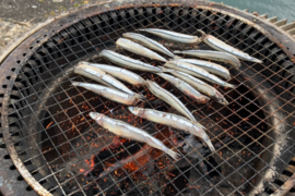 1.5kg きびなご ひささん専用