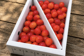 ★週末限定価格★限定5★【朝どれ】《紅秀峰》さくらんぼ 山形県東根産 700g L.2L バラ詰め