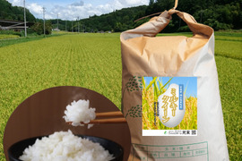 ミルキークイーン 玄米10kg 令和4年 広島県神石高原町産