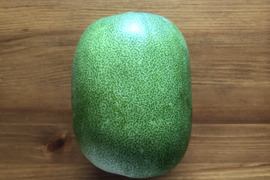 ミニ冬瓜　３玉（4〜5kg）＜農薬・化学肥料不使用＞