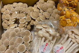 石井食品おまけ付　食べ比べ！信州きのこ詰め合わせ