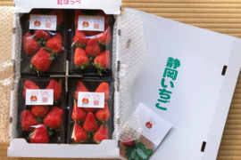 【紅ほっぺ】土耕・完熟で濃い味！静岡の人気品種・甘みと酸味のバランス★4パック（約1.1kg）