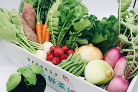 【ハーブ栽培セット付き】野菜が少ない5月の野菜セット限定
イタリアンパセリの栽培セットと有機野菜のSセット