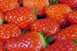 甘くてたまらん！！旬のイチゴセット(4パック)