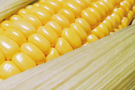 プレミアム味来