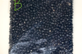 きてらのくろくろ黒大豆-500g-B品-農薬不使用