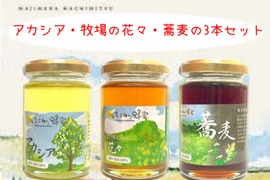 食べチョク出店記念価格!リピートの多い3種類の非加熱蜂蜜・まじめな蜂蜜Aセット