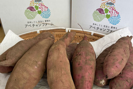 【栃木県産】新芋さつまいも　4kg　紅はるか