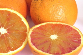 【広島県産】ブラッドオレンジ C品(2㎏) タロッコ