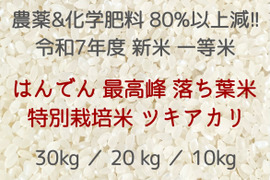 13袋限定 収穫から3日~7日以内の【 生きたお米 】
農薬&化学肥料80%以上大幅減 !!
 生産者自身が食べるのを楽しみに待つ程のプレミアムな味
はんでん 最高峰 特別栽培 落ち葉米 ツキアカリ