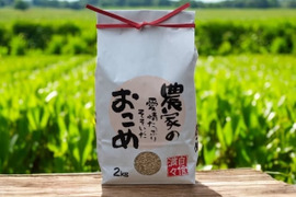 【希少　食べて美味しい山田錦】令和7年度産 農薬不使用「山田錦」玄米5kg