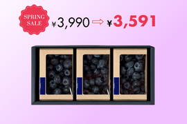 ちょっとした贅沢に！果実たくさんの特別なトヨヒルセット【C】生ブルーベリー 100g×3pc