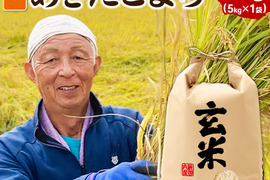 あきたこまち 米 お米 米10kg （5kg×2袋） 無洗米 秋田県産 農家