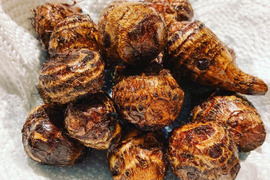 『豊作感謝！20%off！送料込み！』自然栽培の里芋 約1.5kg（石川早生orカラドリ）