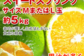 スイートスプリング　約5㎏