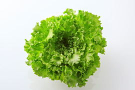 シャキッと濃い味！ごちそうレタス(フリルレタス食べ比べ)セット【1袋100～130g×8袋】