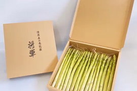 2年連続金賞受賞　陸奥産の竜髭菜（アスパラガス）　”将軍”　600ｇ