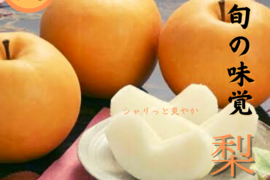 梨 【当日/翌日発送】  豊水  贈答 記念日  3kg 人気 果物 フルーツ 敬老の日 誕生日 記念日 スティック梨 家庭用