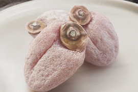 《1月お届け・10%増量》ぽってり程よい弾力！南信州ブランド干し柿『市田柿』徳用品1.1kg みやまし農産物認証原料柿使用