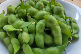 受付終了！松浦さんちの朝採りだだちゃ豆1.2キロ【600ｇ入×2袋】鶴岡特産の枝豆です。