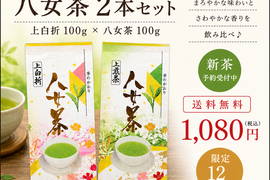 【新茶予約】八女茶 煎茶＆白折100g×2本セット｜農家直送・送料無料｜はじめての方におすすめ
