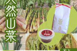 ＜開けてからのお楽しみ＞朝どれ直送天然山菜セット500gとつや姫2kgと味噌500g