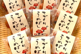お買い得サイズ！酸っぱ甘い！農薬や化学肥料を使わずに育てた梅と紫蘇、バリのミネラル塩で作る、昔ながらの天日干し梅干し700g（70g×10パック）