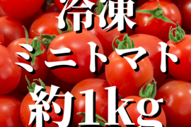 【冷凍】八ヶ岳産 ミニトマト約1kg