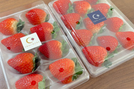 【2kg:8ケース】朝採れとちあいかをいちご生産量日本一の街からお届けします★