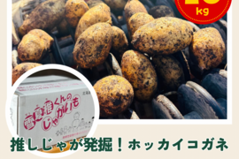 ～推しじゃが爆誕！蔵出し中熟成～『雪夏稚くん』のホッカイコガネ 10kg