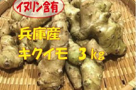 【最短出荷】兵庫産　スーパーフード菊芋3kｇ