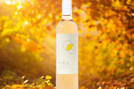 新定番！料理がおいしい梅ワイン　自然栽培の梅100%使用(無添加)
Japanese apricot  wine 'TIES' 500ml  2本セット