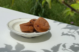 【訳あり（雹被害）】自然栽培 紀州南高梅｜ひとみずの梅干し 500g｜無添加・無肥料・農薬不使用｜見た目にキズあり／味・品質そのまま｜ご家庭用