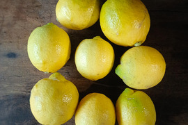自然栽培レモン10kg(65個前後）
