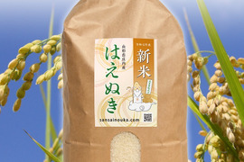 【令和7年新米】はえぬき4.8キロ白米　さっぱり！うまい！！