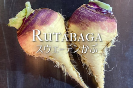 この冬イチオシの根菜！ ルタバガ スウェーデンかぶ 約1.2kg