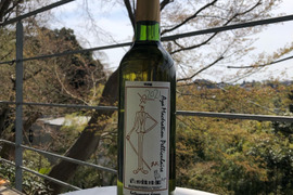 🥂白《深い旨みとシャンパンゴールドの輝き》853本限定!山梨県勝沼産　自家栽培樹齢60年古樹甲州白ワイン　アヤマセラシオンペリキューレ2021年