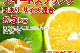 訳ありスイートスプリング　約5K
