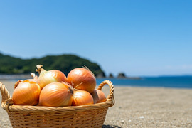 淡路島 玉ねぎ ３キロ 定期便 甘い 玉葱
