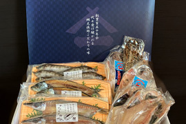 綱元漁師★天日干し干物ギフト箱セット【夏ギフト】