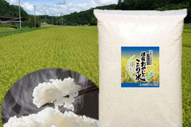 新米コシヒカリ 精米15㎏(5㎏×3) 令和4年 広島県神石高原町産