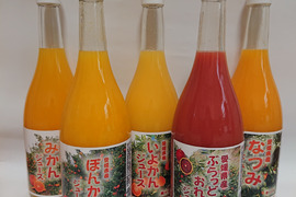 愛媛県産みかんジュース5種詰合わせ（6本）